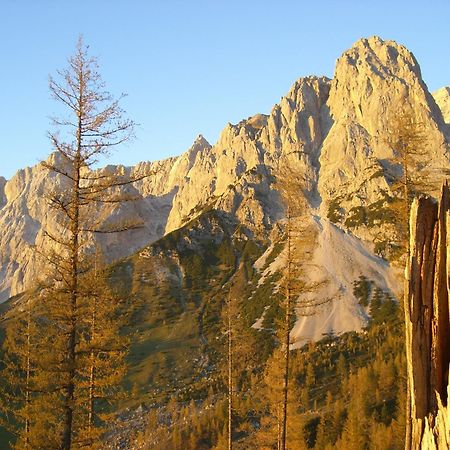 فندق Gasthof Hunerkogel رامساو أم داتشستين المظهر الخارجي الصورة