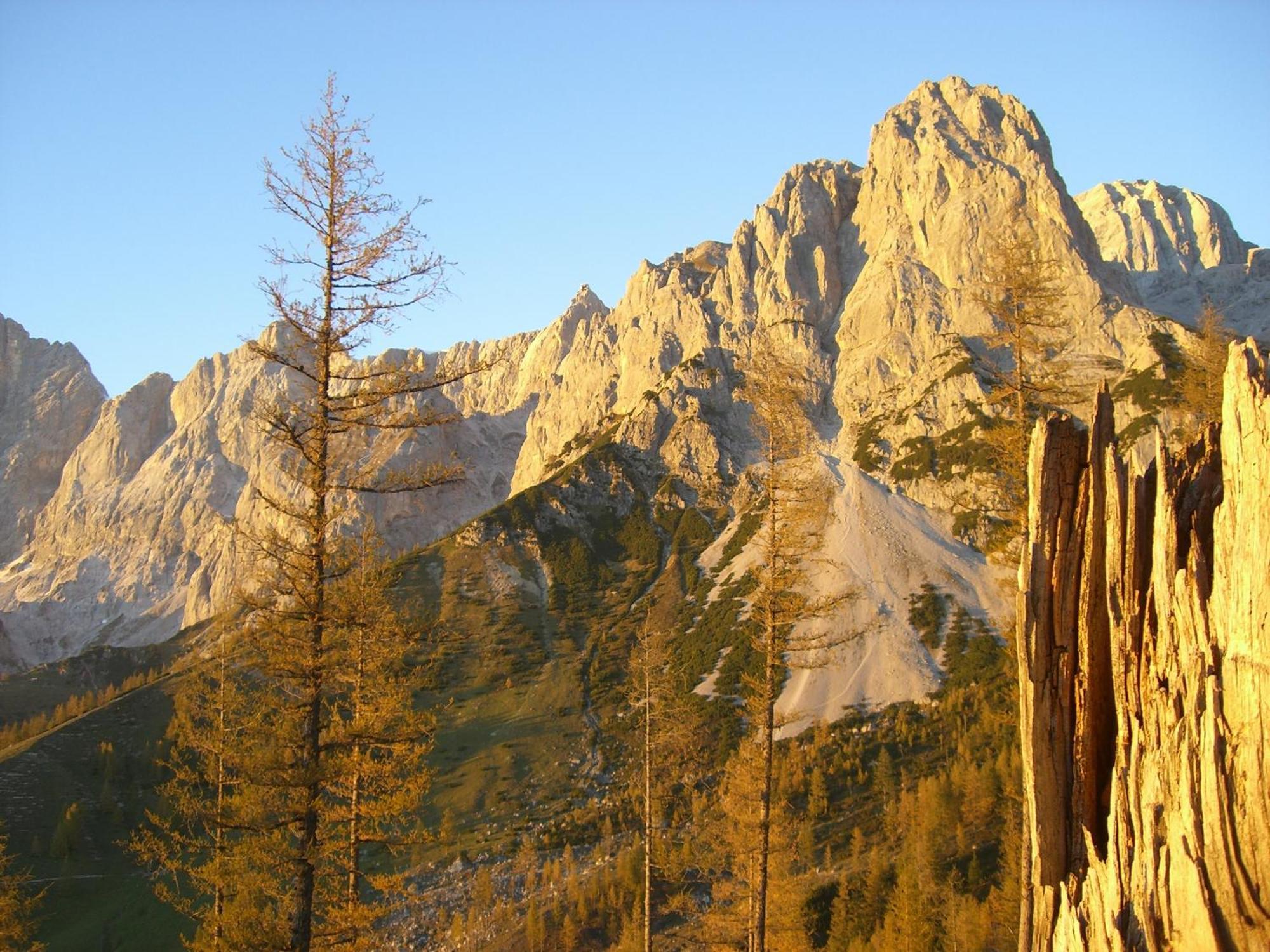 فندق Gasthof Hunerkogel رامساو أم داتشستين المظهر الخارجي الصورة