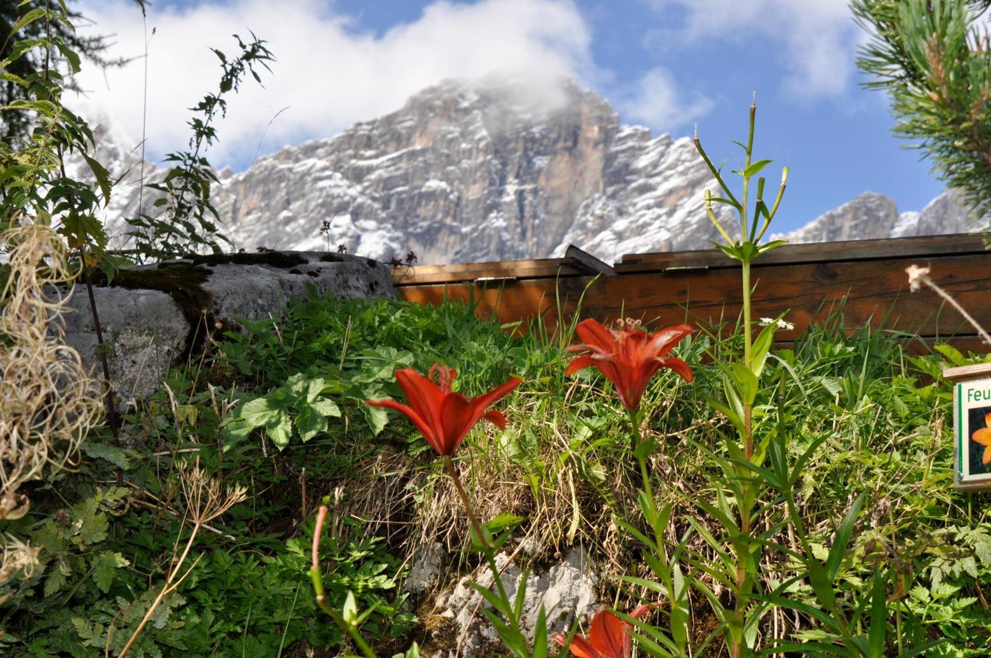 فندق Gasthof Hunerkogel رامساو أم داتشستين المظهر الخارجي الصورة